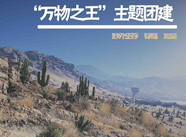 万物之王主题团建
